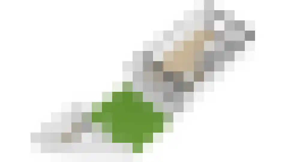 Korte Kleverlaan 50 Bloemendaal thumbnail 45