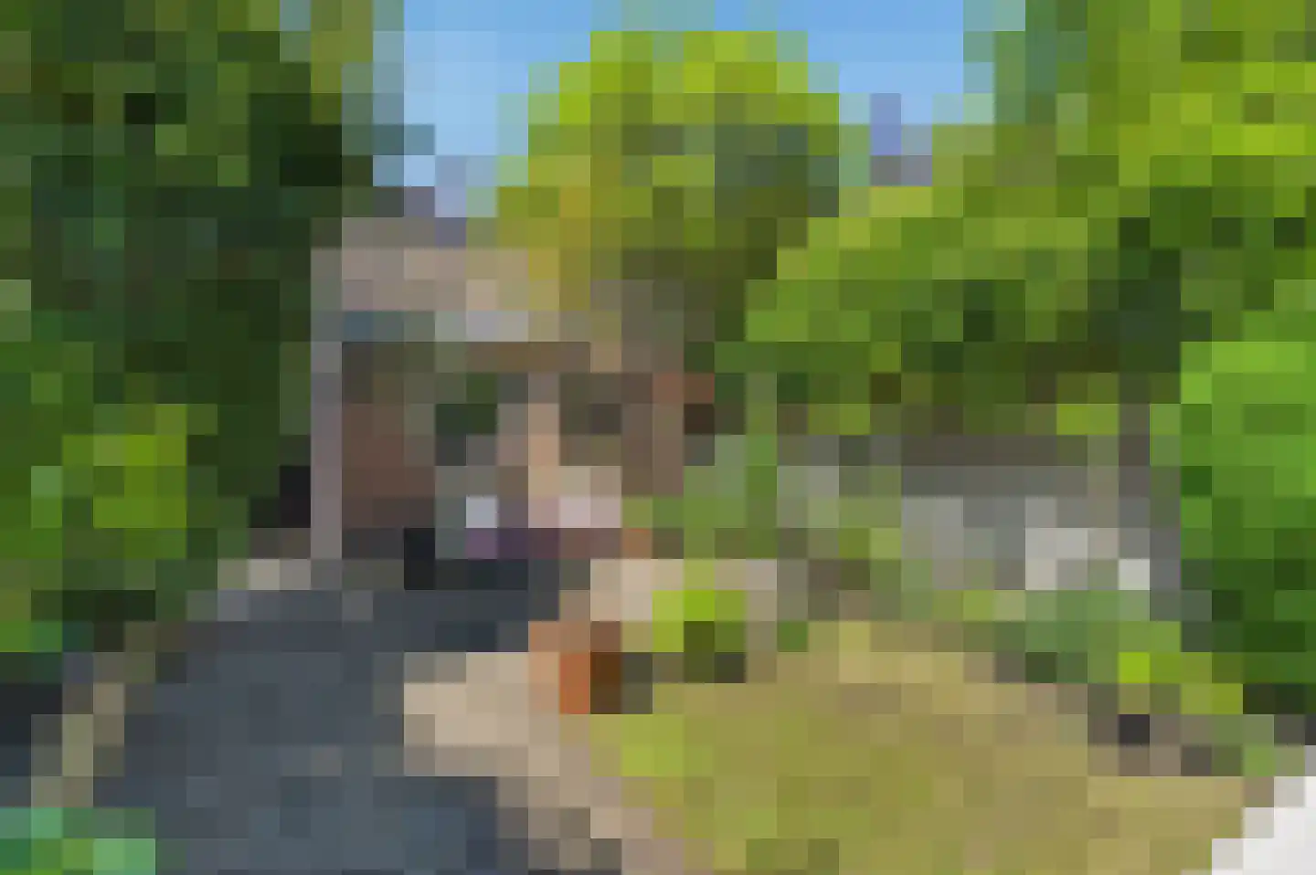 Korte Kleverlaan 66 Bloemendaal thumbnail 17