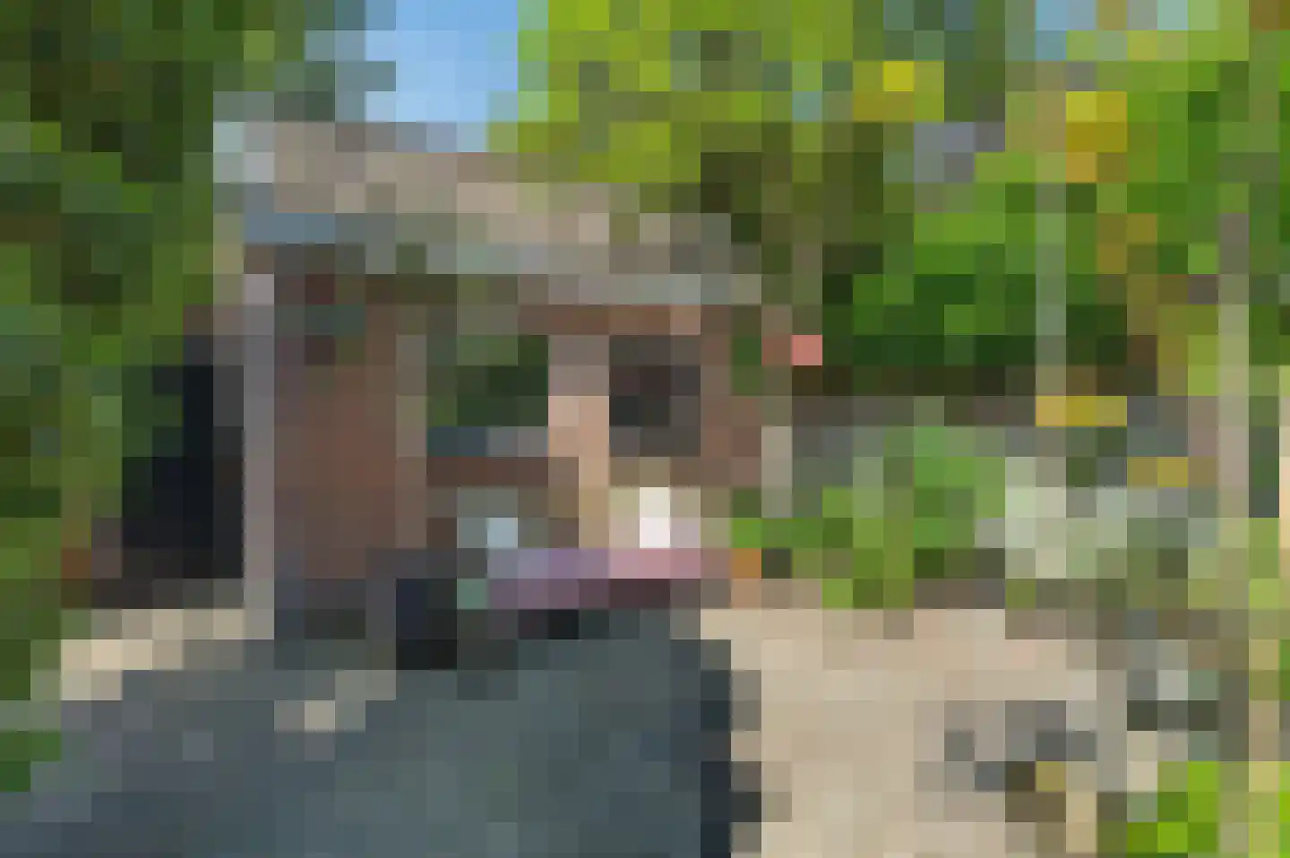 Korte Kleverlaan 66 Bloemendaal thumbnail 18