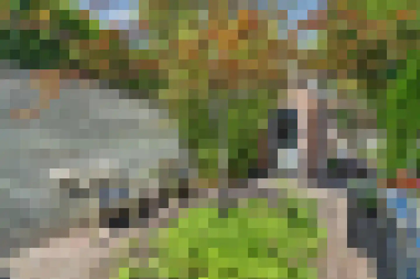 Korte Kleverlaan 66 Bloemendaal thumbnail 20