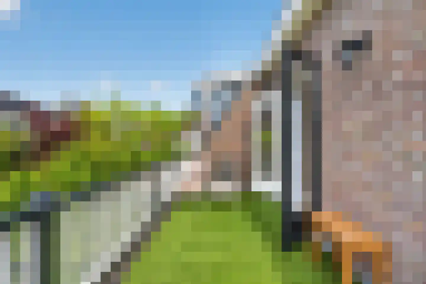 Korte Kleverlaan 66 Bloemendaal thumbnail 32
