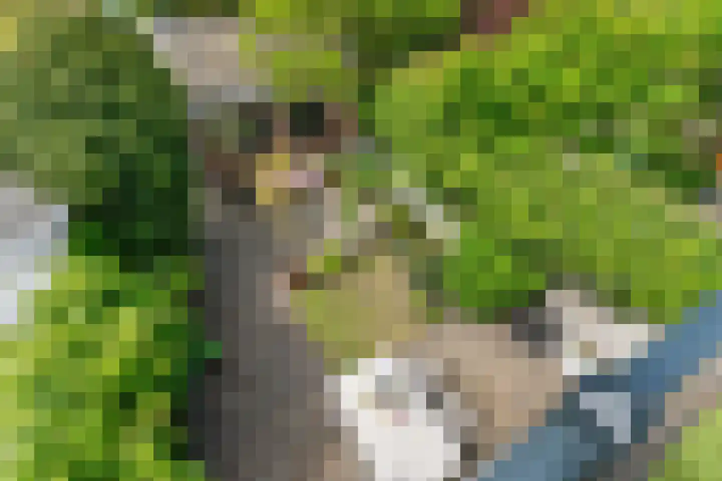 Korte Kleverlaan 66 Bloemendaal thumbnail 33
