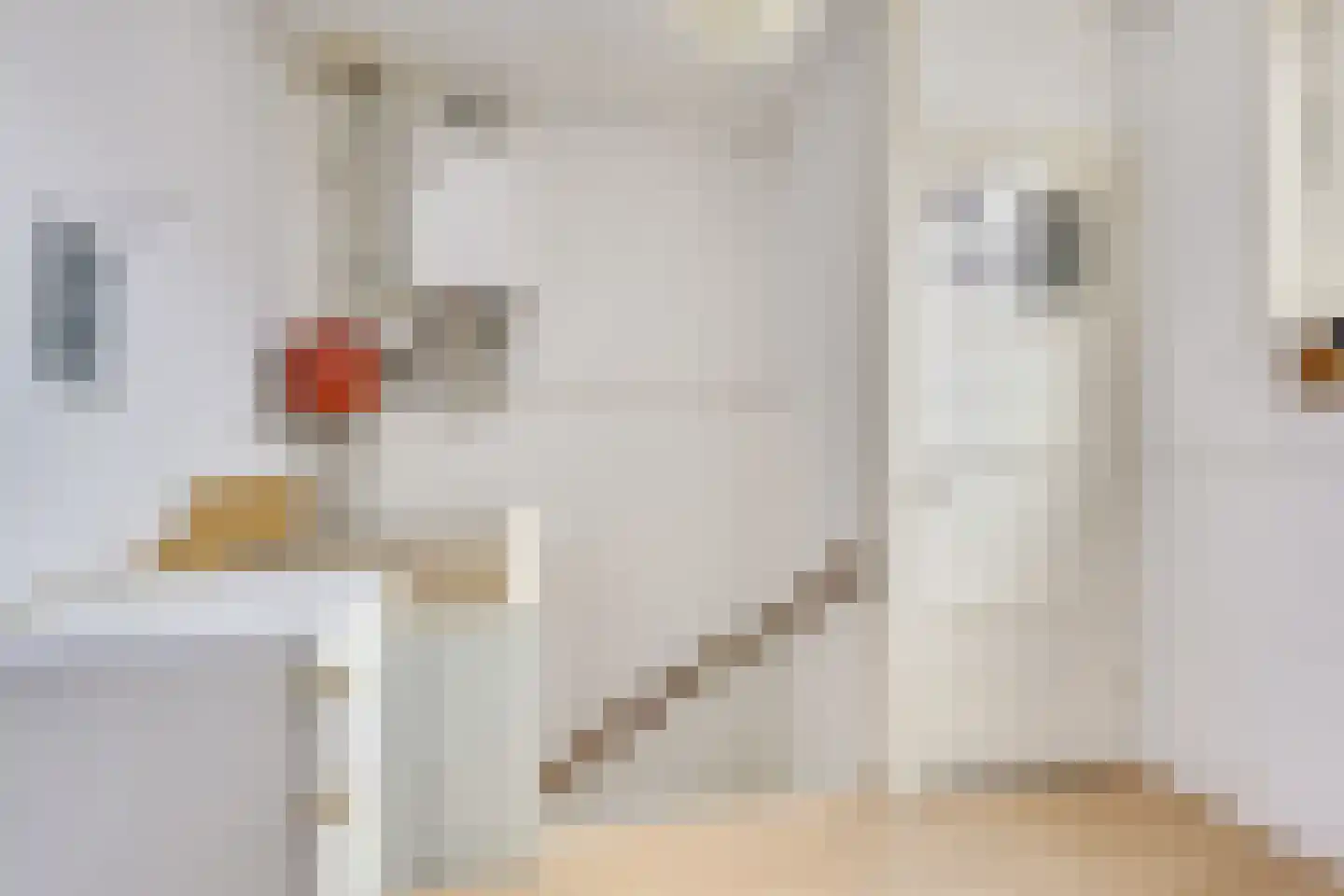 Korte Koestraat 3 BS Utrecht thumbnail 28