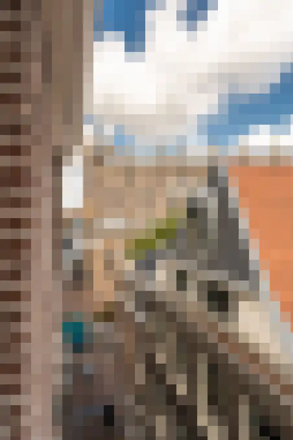 Korte Kolksteeg 1 D Amsterdam thumbnail 18