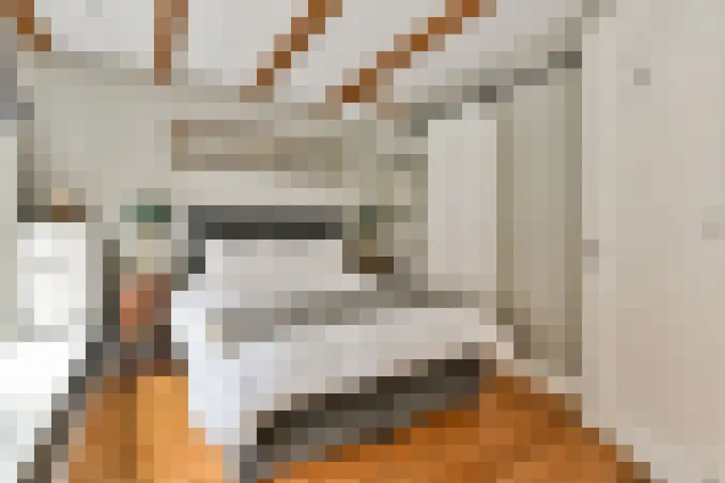 Korte Koningsstraat 26 Amsterdam thumbnail 8