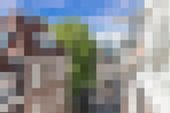 Korte Koningsstraat 9 3 Amsterdam thumbnail 18