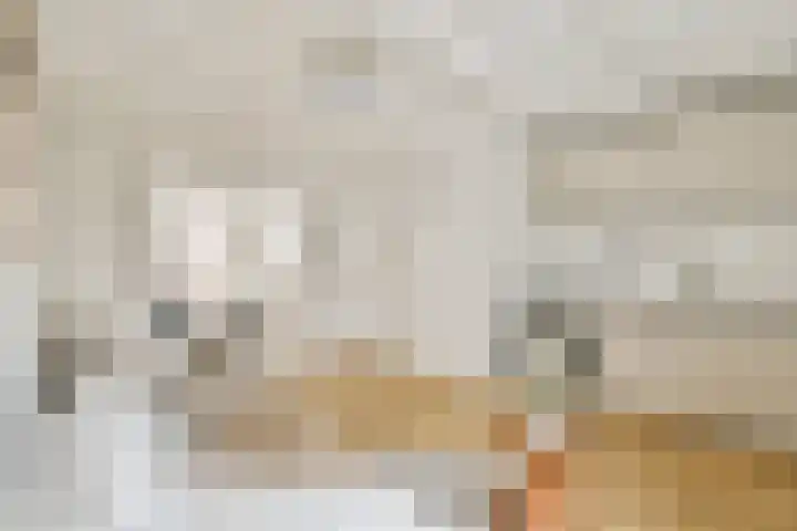 Korte Koningsstraat 9 3 Amsterdam thumbnail 8