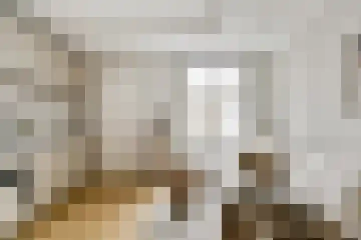 Korte Koningsstraat 9 3 Amsterdam thumbnail 9