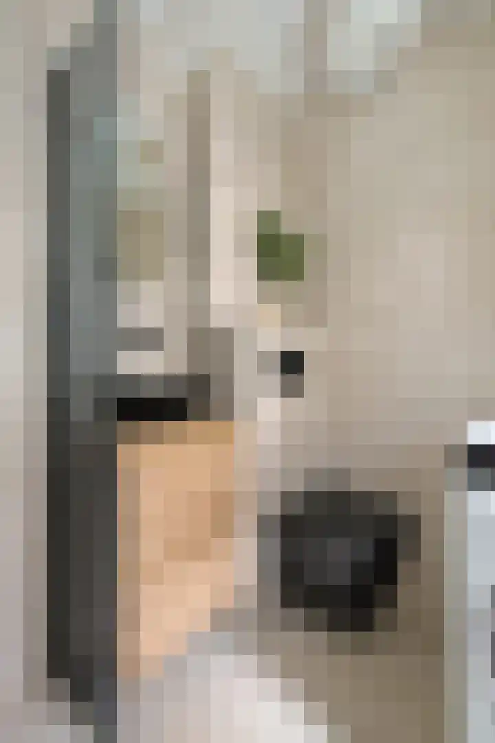 Korte Koningsstraat 9 3 Amsterdam thumbnail 9