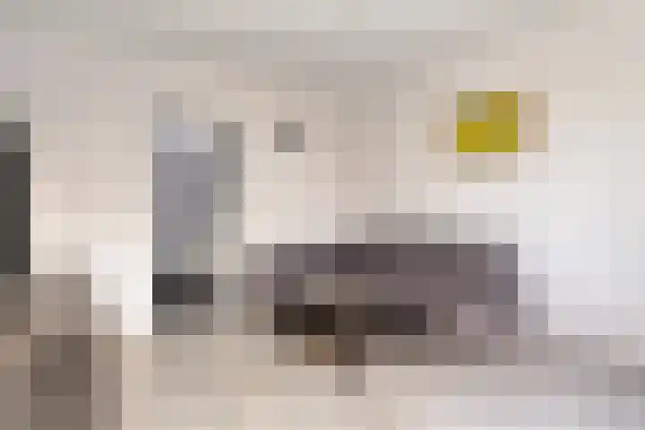 Korte Kromhout 33 Rotterdam thumbnail 14