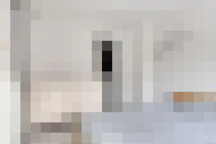 Korte Kromhout 33 Rotterdam thumbnail 20