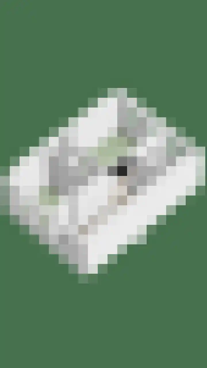 Korte Kromhout 33 Rotterdam thumbnail 37