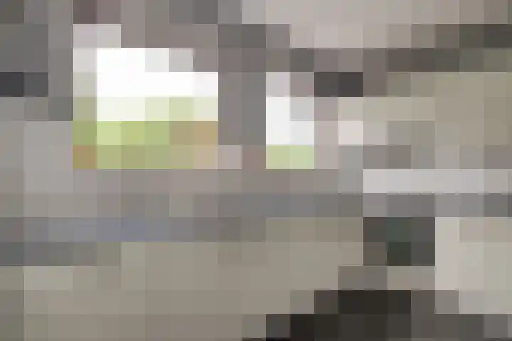 Korte Kruisweg 10 Maasdijk thumbnail 10