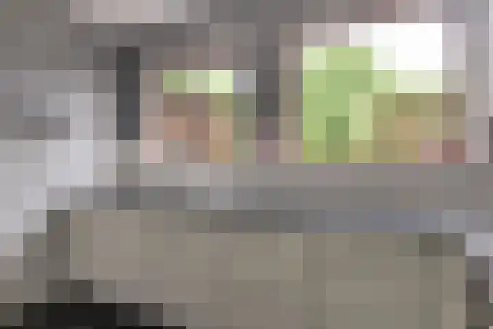 Korte Kruisweg 10 Maasdijk thumbnail 11
