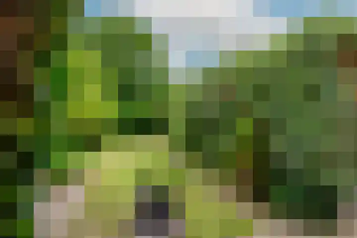 Korte Kruisweg 10 Maasdijk thumbnail 13