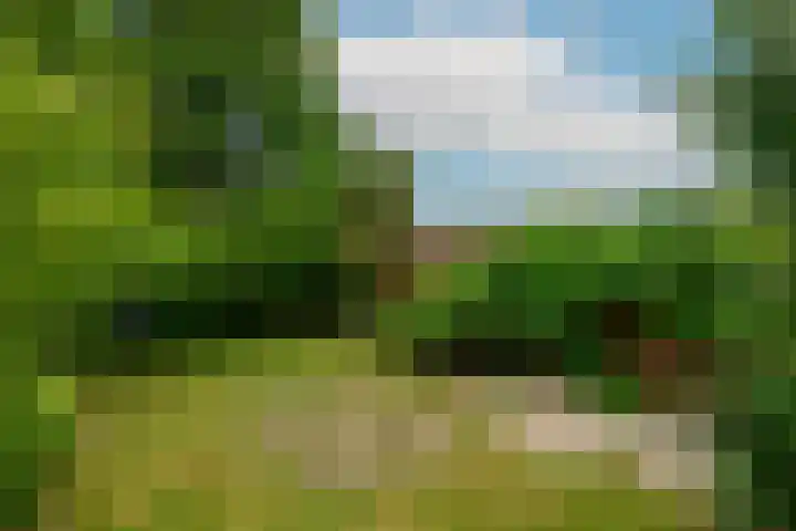 Korte Kruisweg 10 Maasdijk thumbnail 14