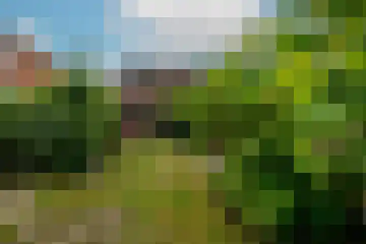 Korte Kruisweg 10 Maasdijk thumbnail 15