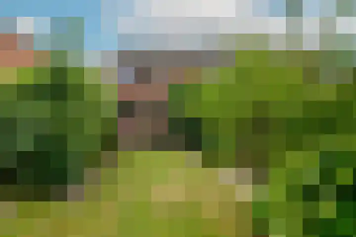 Korte Kruisweg 10 Maasdijk thumbnail 16