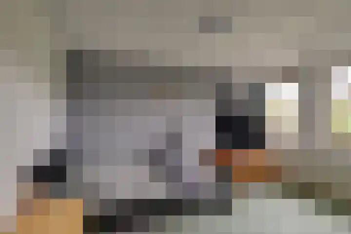 Korte Kruisweg 10 Maasdijk thumbnail 18
