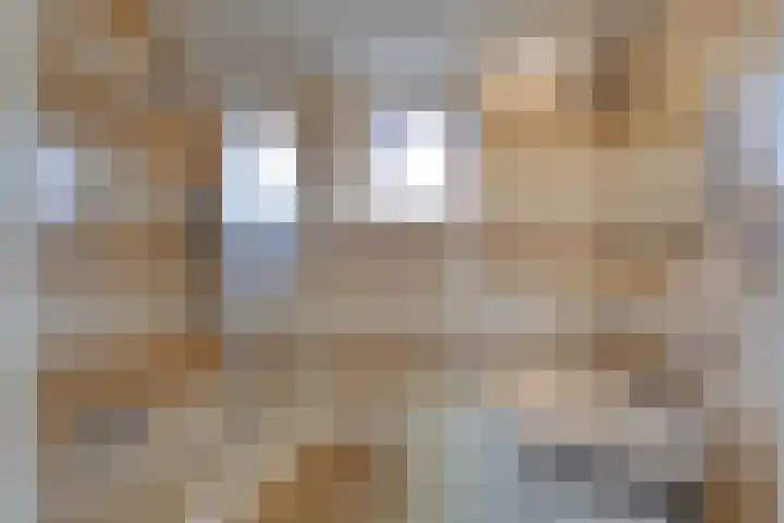 Korte Kruisweg 10 Maasdijk thumbnail 21