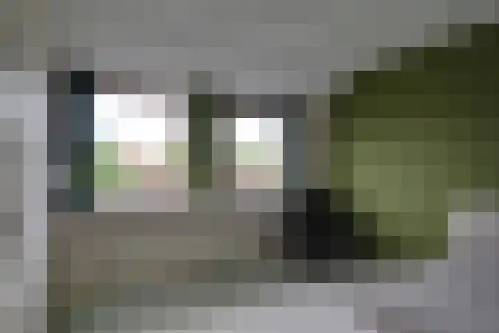 Korte Kruisweg 10 Maasdijk thumbnail 25