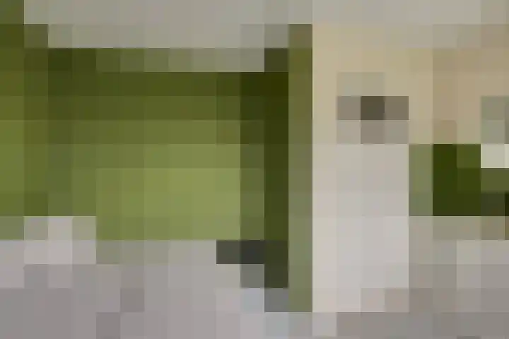 Korte Kruisweg 10 Maasdijk thumbnail 26