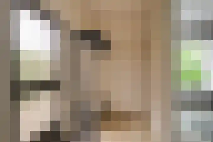 Korte Kruisweg 10 Maasdijk thumbnail 27