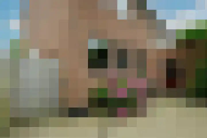 Korte Kruisweg 10 Maasdijk thumbnail 28