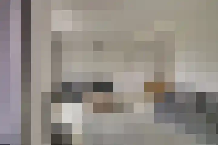 Korte Kruisweg 10 Maasdijk thumbnail 4