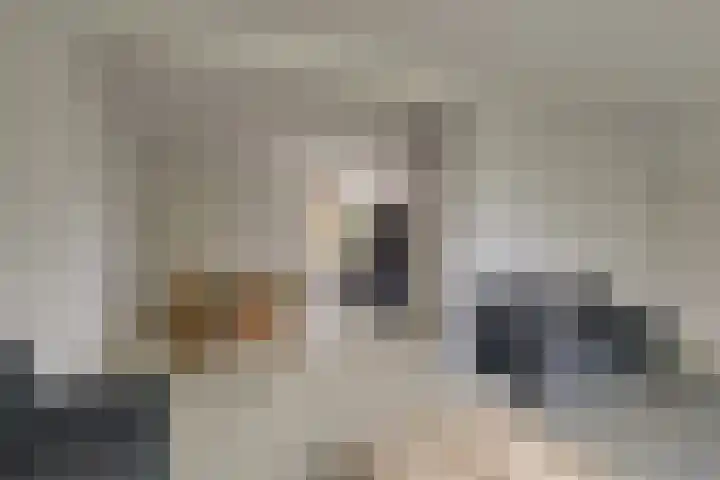 Korte Kruisweg 10 Maasdijk thumbnail 6
