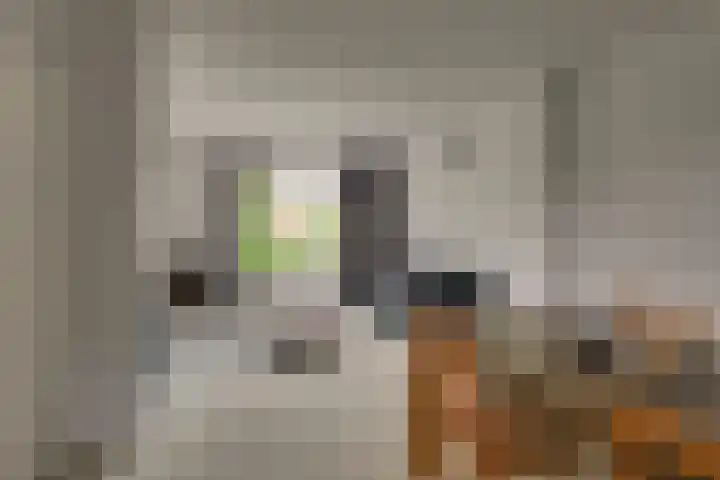 Korte Kruisweg 10 Maasdijk thumbnail 8