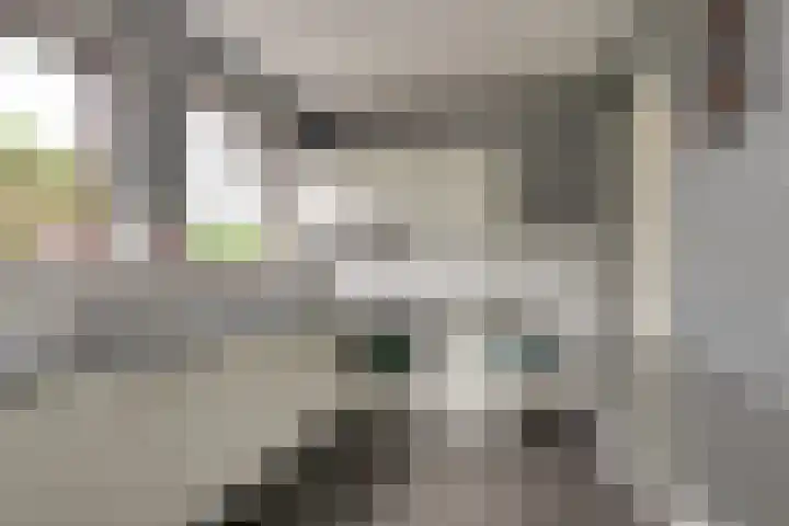 Korte Kruisweg 10 Maasdijk thumbnail 9