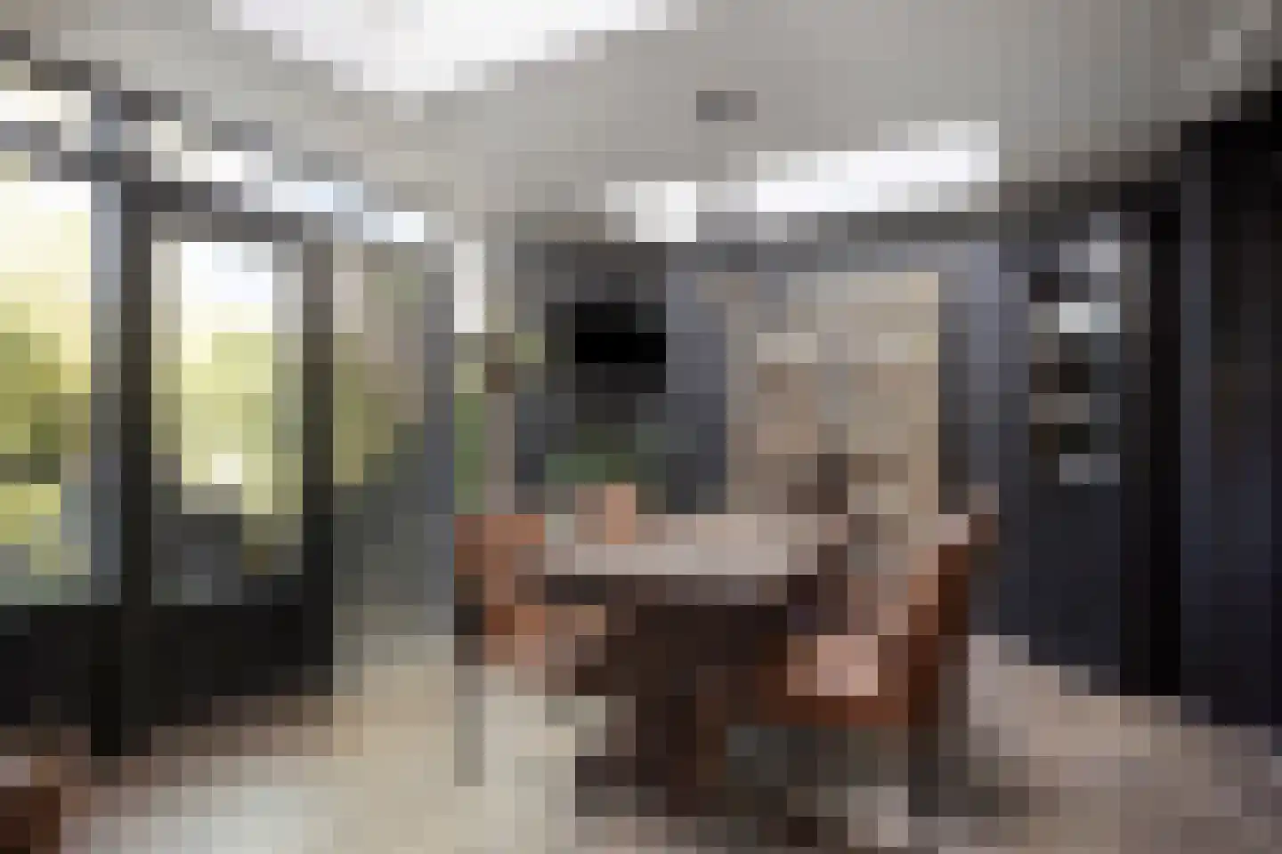 Korte Kruisweg 12 Maasdijk thumbnail 15