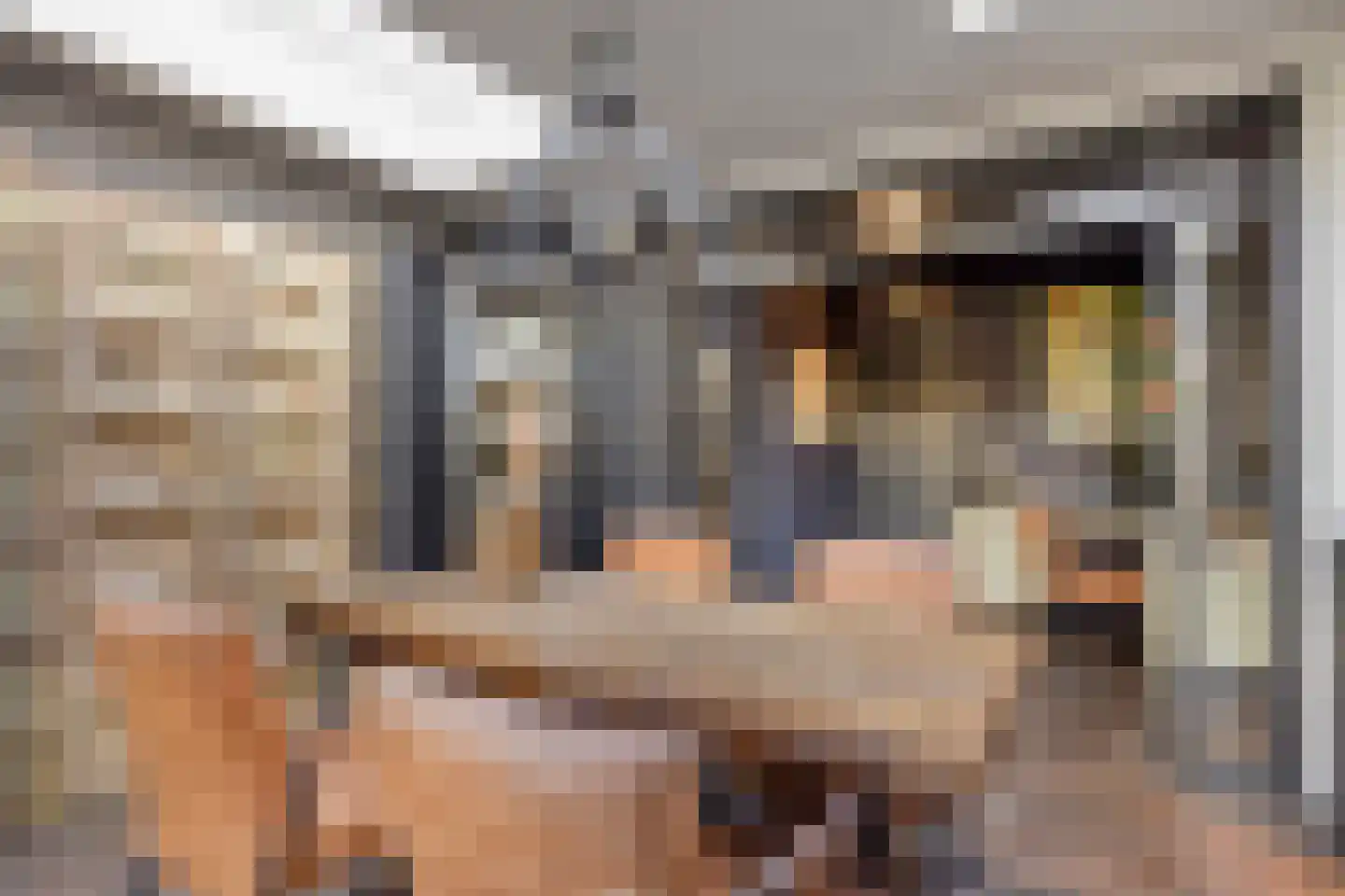 Korte Kruisweg 12 Maasdijk thumbnail 17