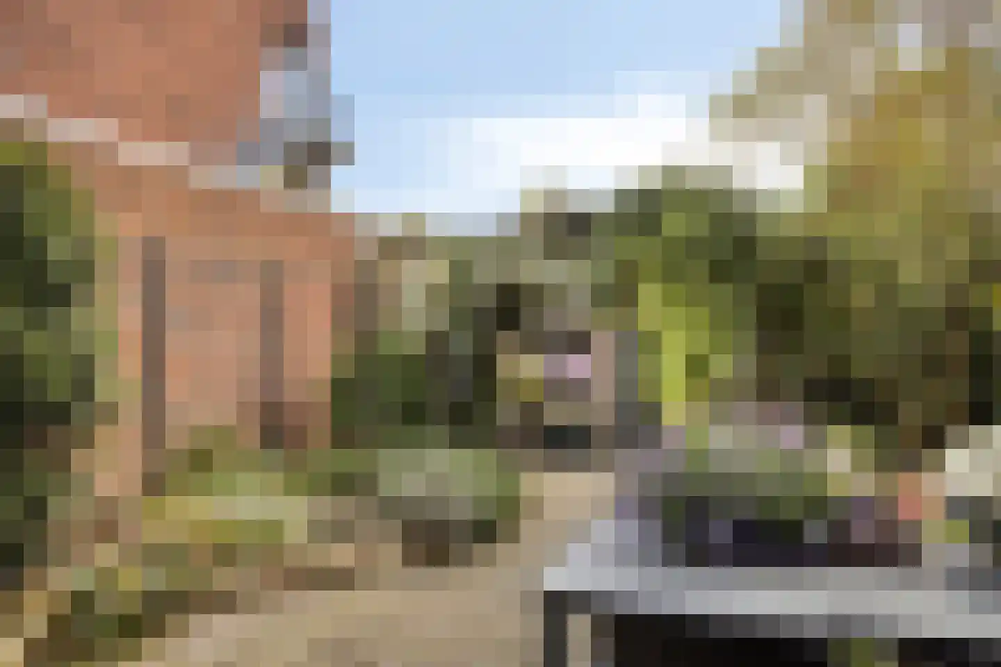Korte Kruisweg 12 Maasdijk thumbnail 19