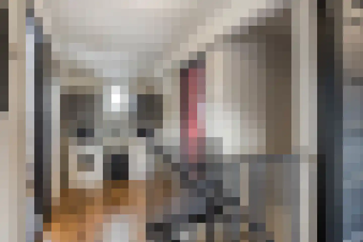Korte Kruisweg 12 Maasdijk thumbnail 29