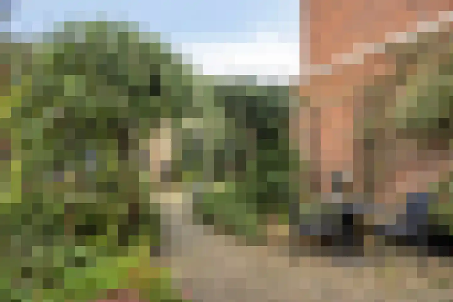 Korte Kruisweg 12 Maasdijk thumbnail 30