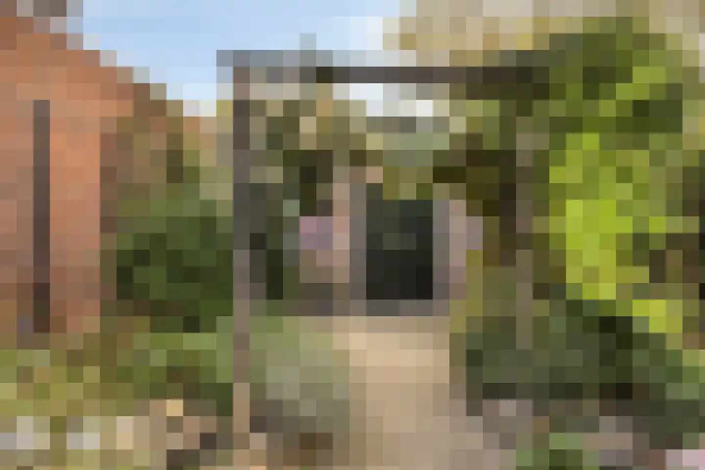 Korte Kruisweg 12 Maasdijk thumbnail 31
