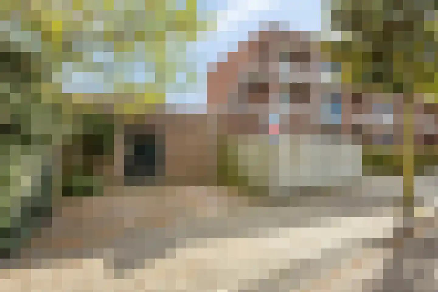 Korte Kruisweg 12 Maasdijk thumbnail 32