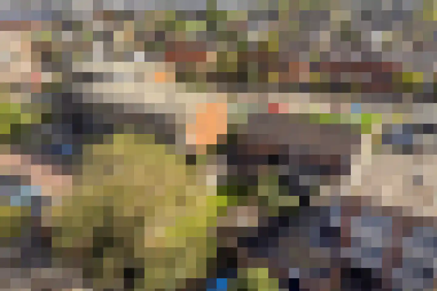 Korte Kruisweg 12 Maasdijk thumbnail 33
