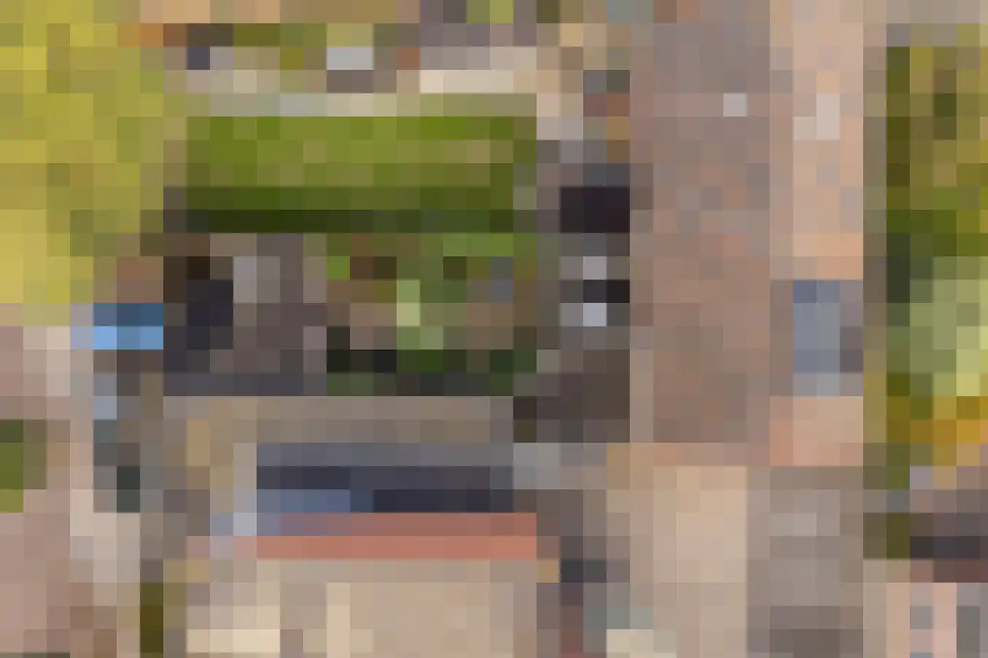 Korte Kruisweg 12 Maasdijk thumbnail 34