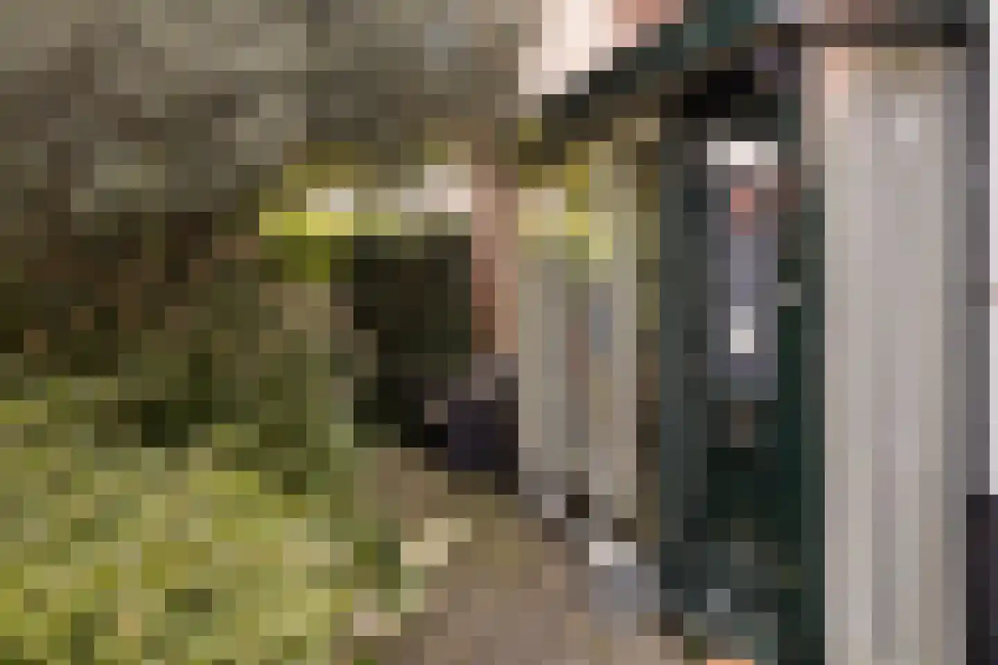 Korte Kruisweg 12 Maasdijk thumbnail 35