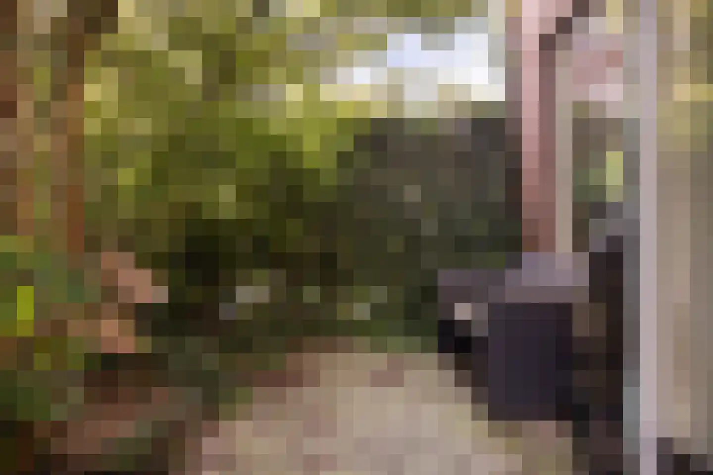 Korte Kruisweg 12 Maasdijk thumbnail 36