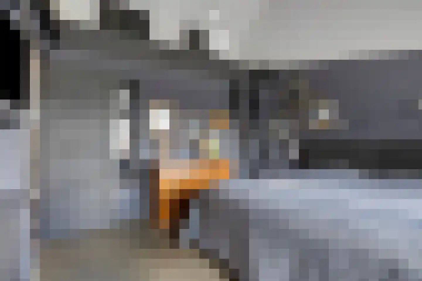 Korte Kruisweg 12 Maasdijk thumbnail 4