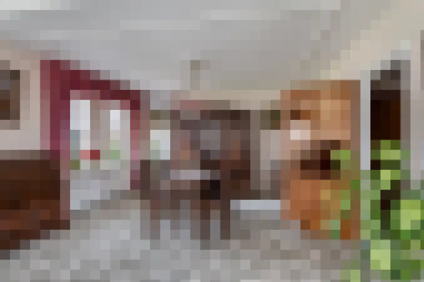 Korte Kruisweg 167 Maasdijk thumbnail 10