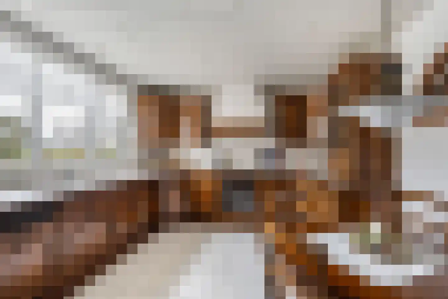 Korte Kruisweg 167 Maasdijk thumbnail 12