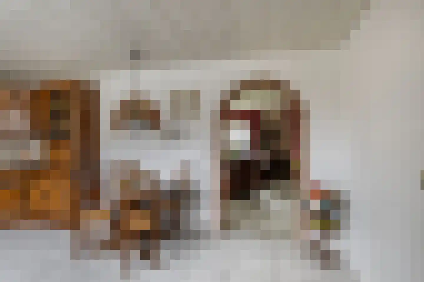 Korte Kruisweg 167 Maasdijk thumbnail 13