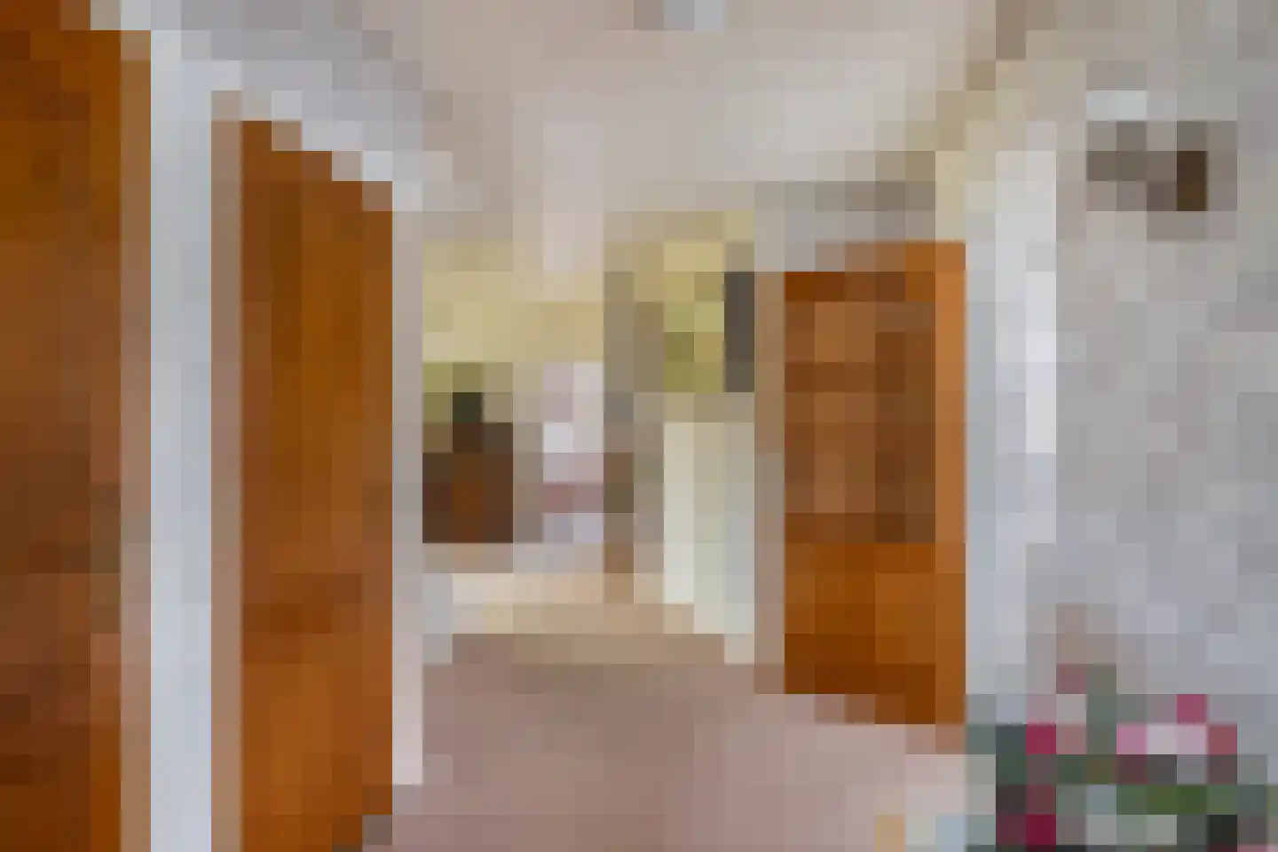 Korte Kruisweg 167 Maasdijk thumbnail 16
