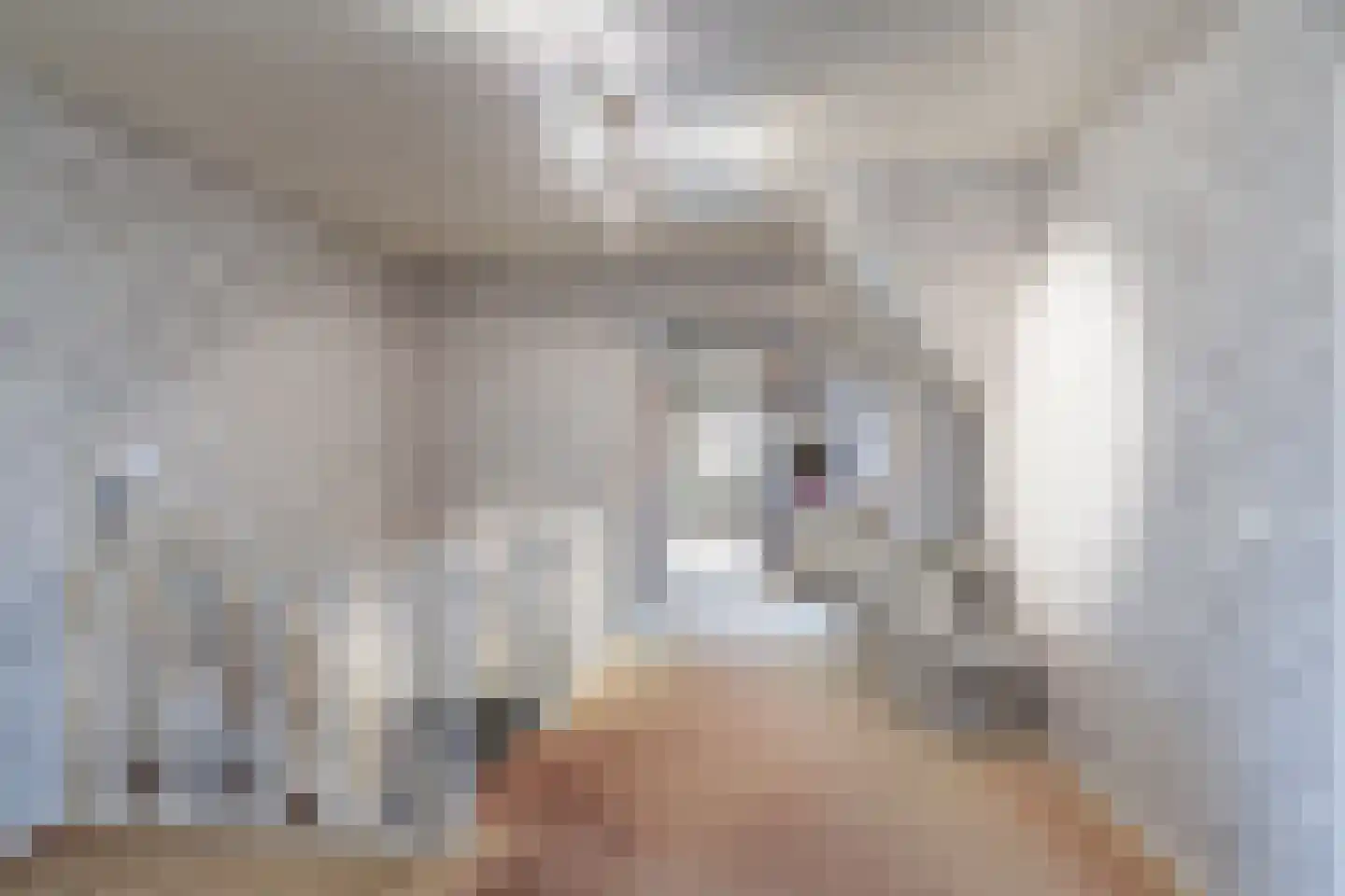 Korte Kruisweg 167 Maasdijk thumbnail 25