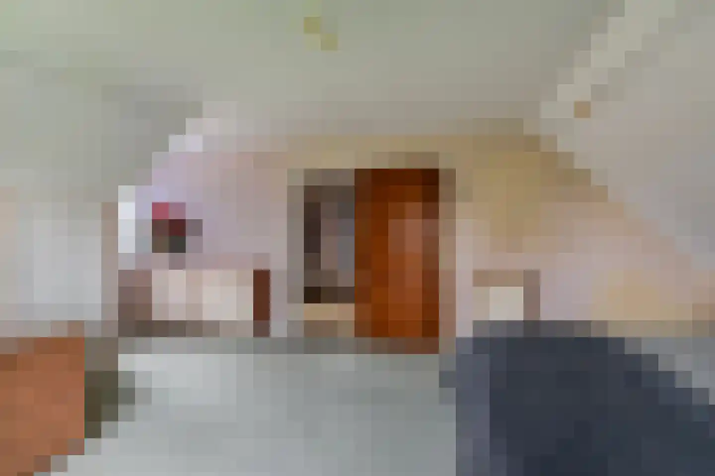 Korte Kruisweg 167 Maasdijk thumbnail 29
